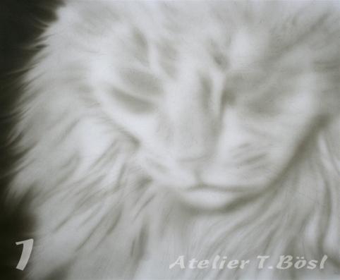 Airbrush Tierporträt Katze im Kurs