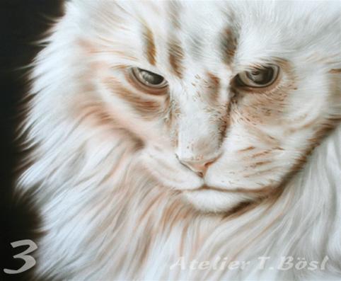 Airbrush Tierporträt Katze im Kurs