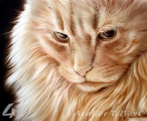 Airbrush Tierporträt Katze im Kurs
