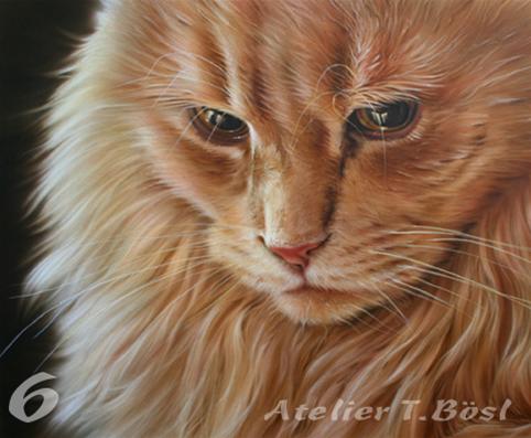 Airbrush Tierporträt Katze im Kurs